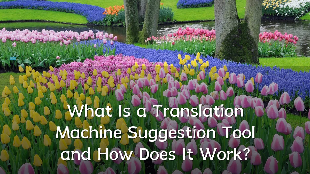What Is a Translation Machine Suggestion Tool and How Does It Work?
