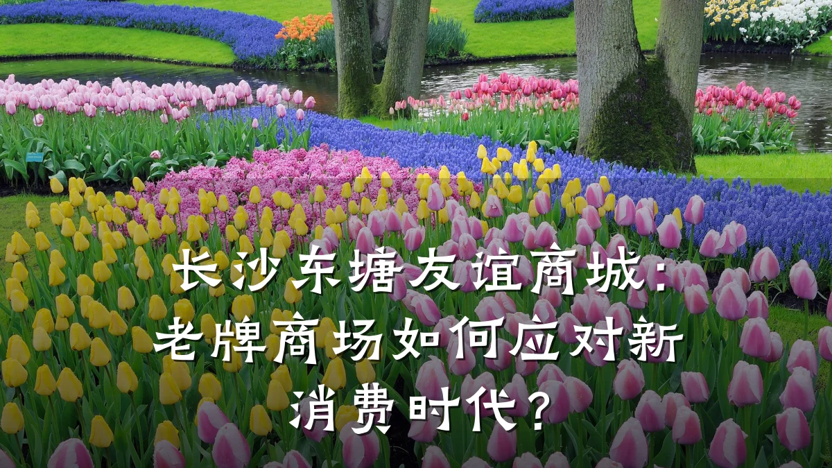 长沙东塘友谊商城：老牌商场如何应对新消费时代？
