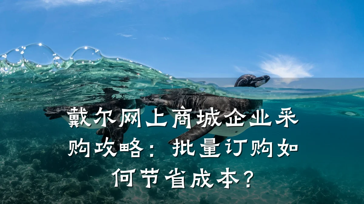 戴尔网上商城企业采购攻略：批量订购如何节省成本？