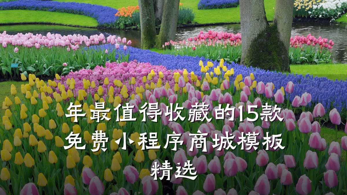 年最值得收藏的15款免费小程序商城模板精选