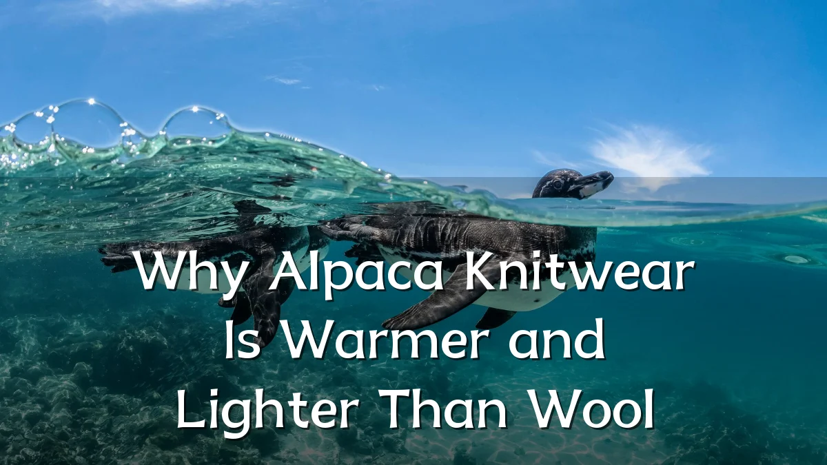 Why Alpaca Knitwear Is Warmer and Lighter Than Wool