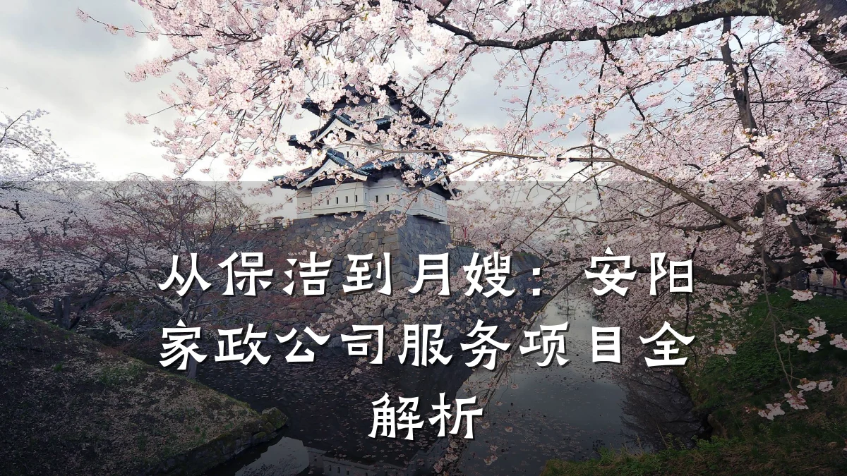 从保洁到月嫂：安阳家政公司服务项目全解析