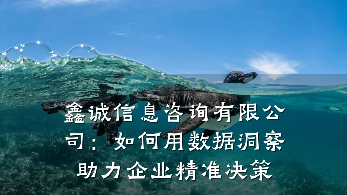 鑫诚信息咨询有限公司：如何用数据洞察助力企业精准决策
