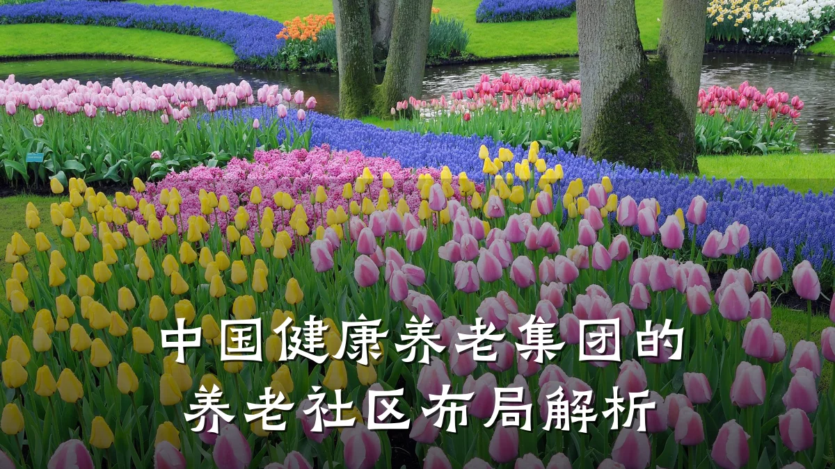 中国健康养老集团的养老社区布局解析