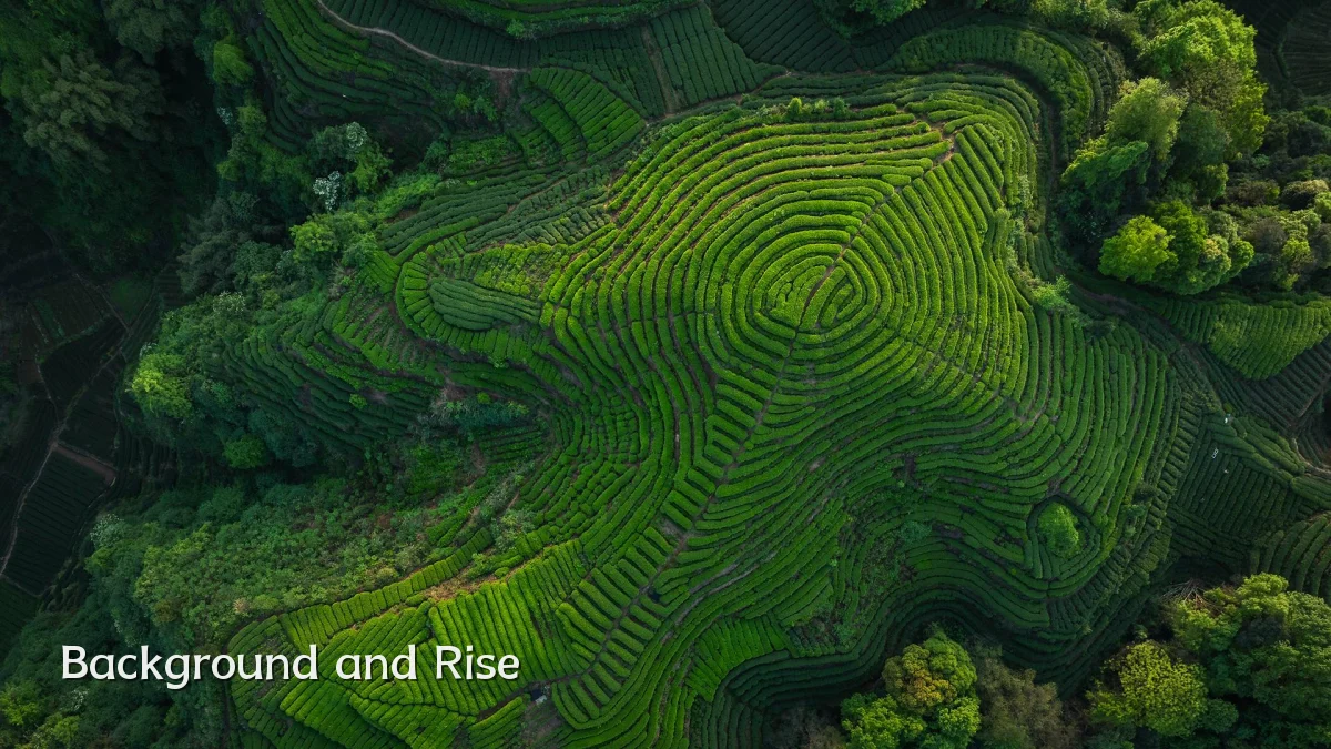 Background and Rise