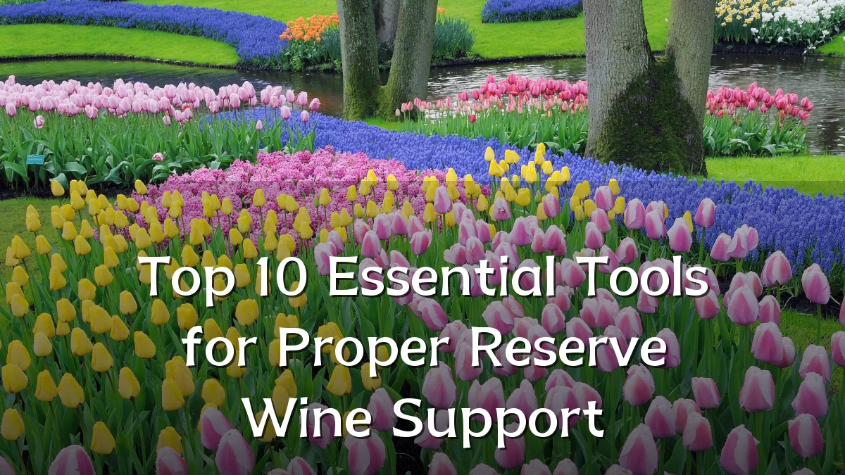 Top 10 Essential Tools for Proper Reserve Wine Support