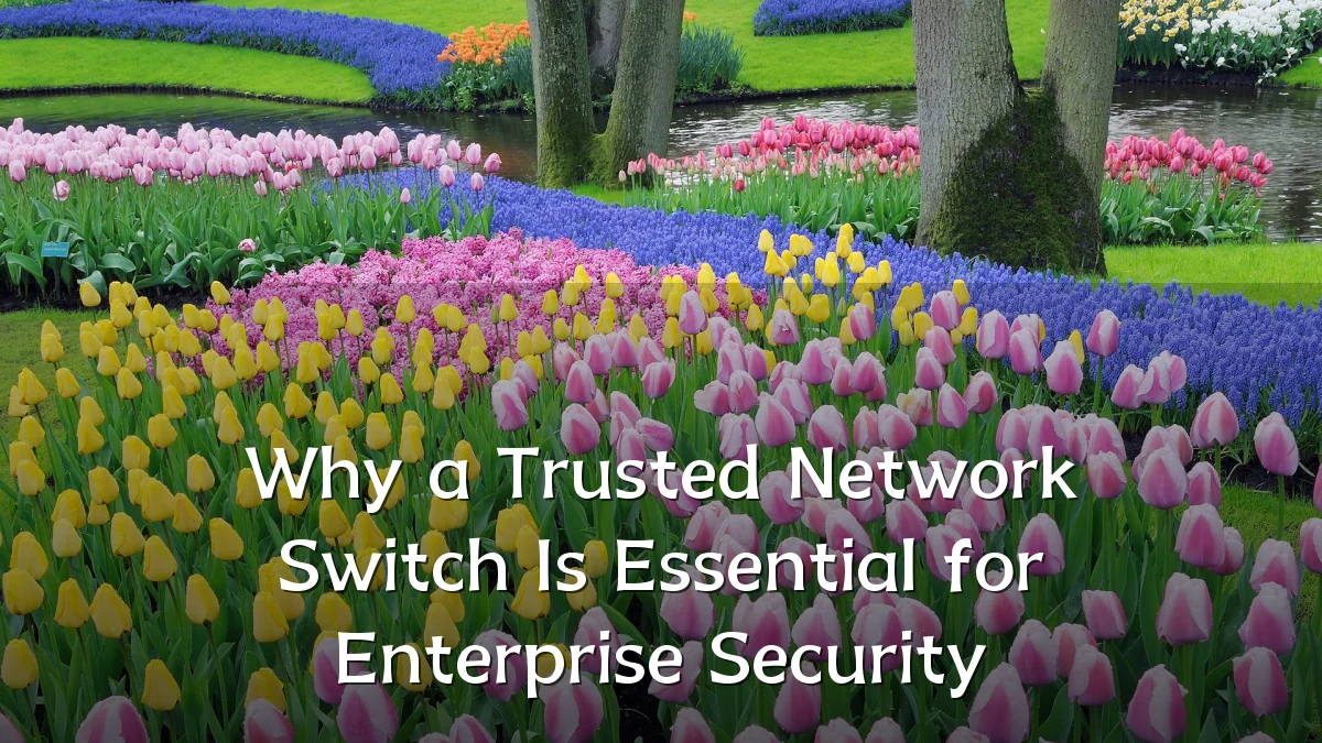 Why a Trusted Network Switch Is Essential for Enterprise Security