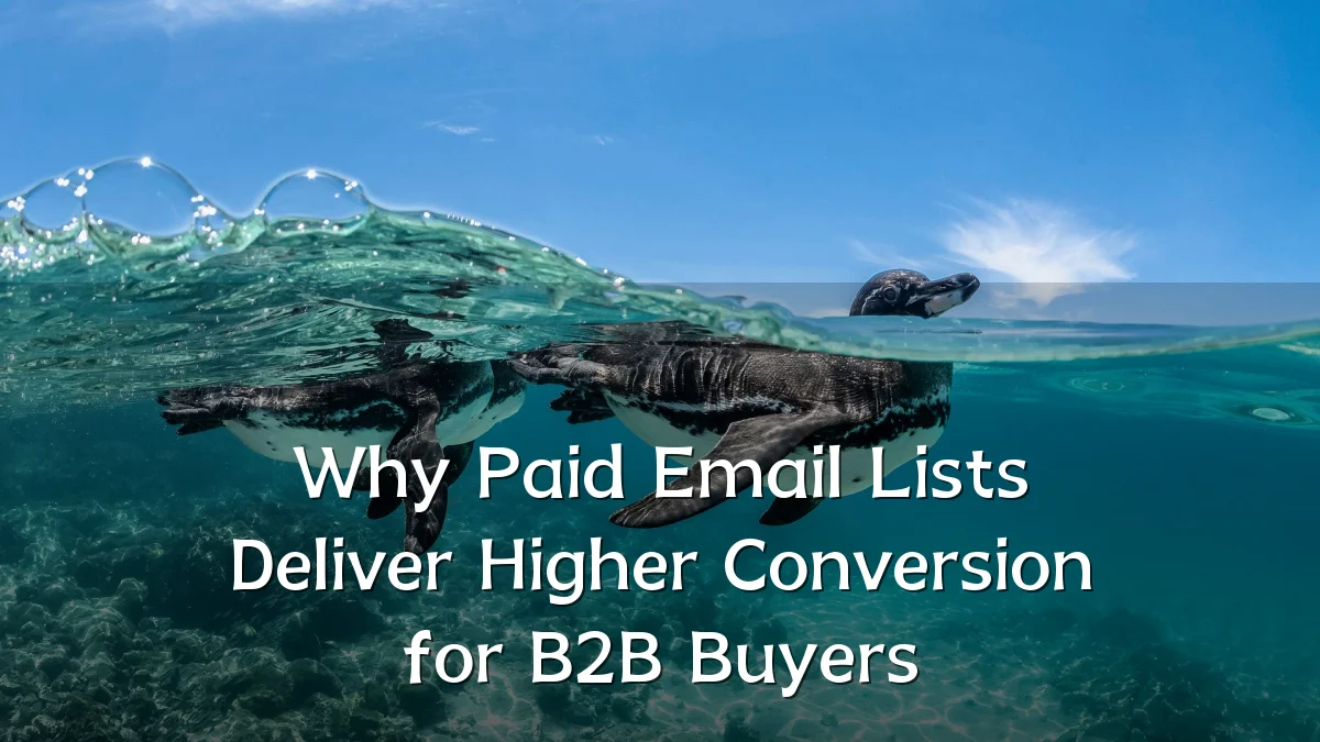 Why Paid Email Lists Deliver Higher Conversion for B2B Buyers