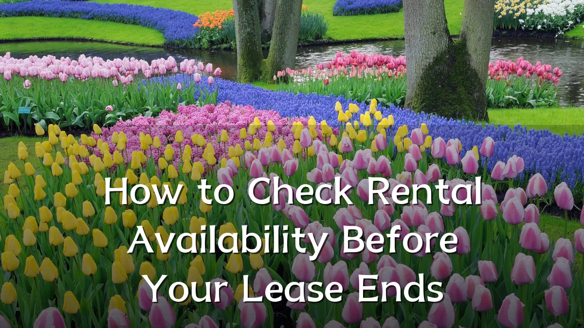 How to Check Rental Availability Before Your Lease Ends