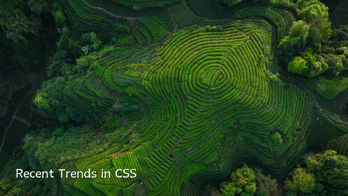 Recent Trends in CSS