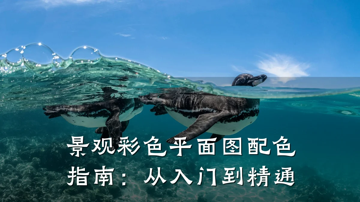 景观彩色平面图配色指南:从入门到精通