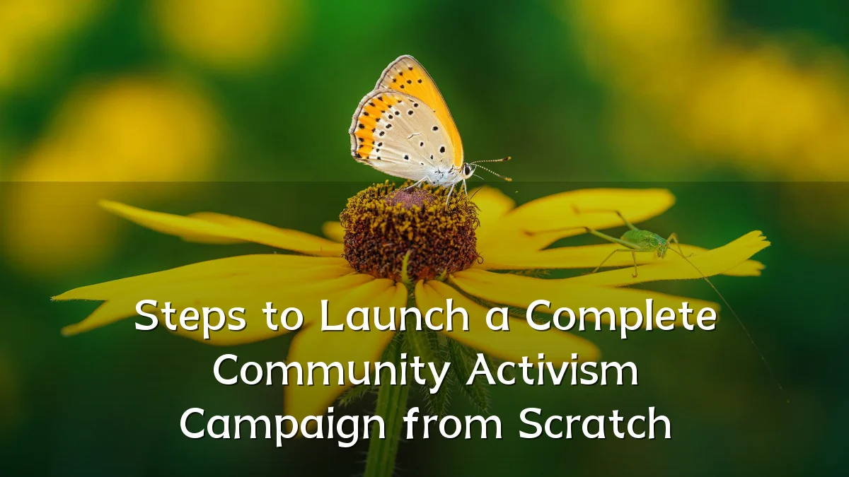 Steps to Launch a Complete Community Activism Campaign from Scratch