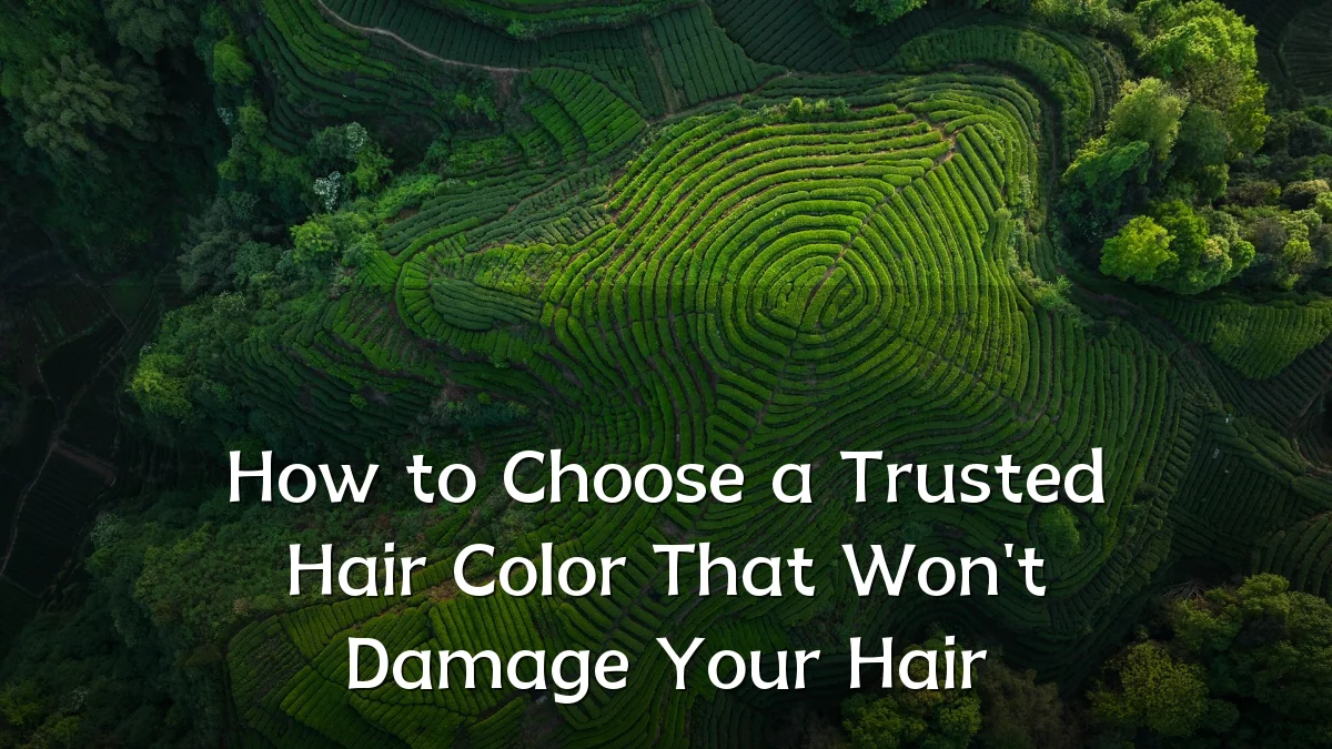 How to Choose a Trusted Hair Color That Won't Damage Your Hair