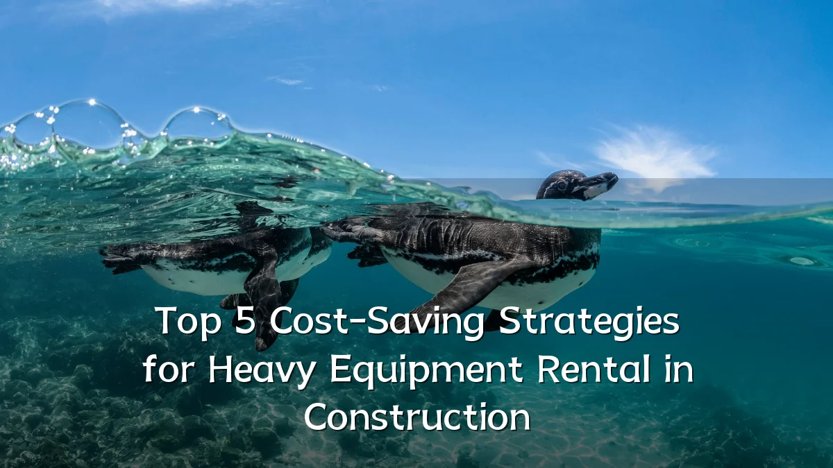 Top 5 Cost-Saving Strategies for Heavy Equipment Rental in Construction