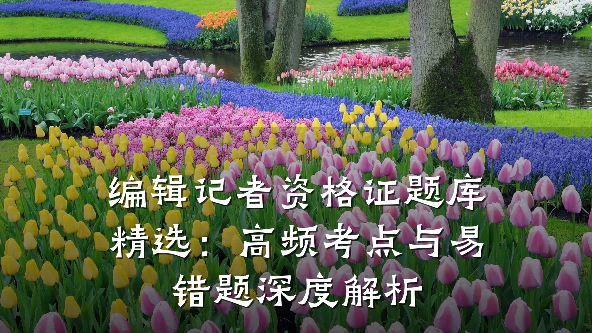 编辑记者资格证题库精选：高频考点与易错题深度解析