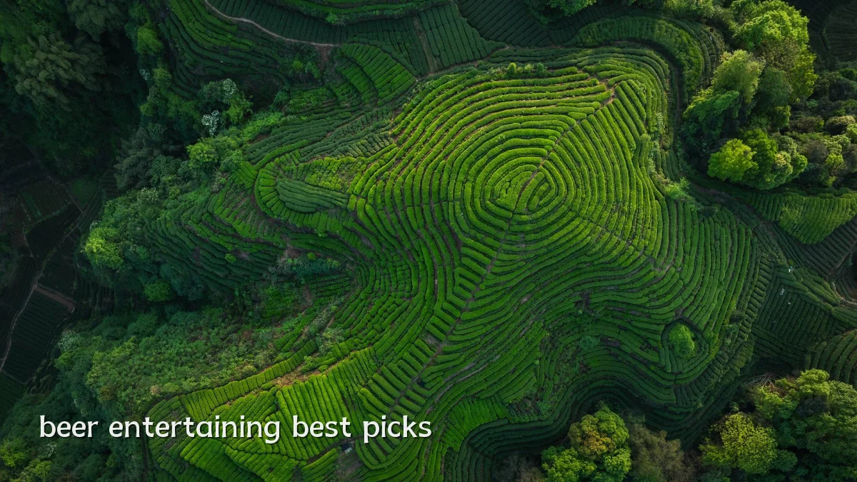 beer entertaining best picks