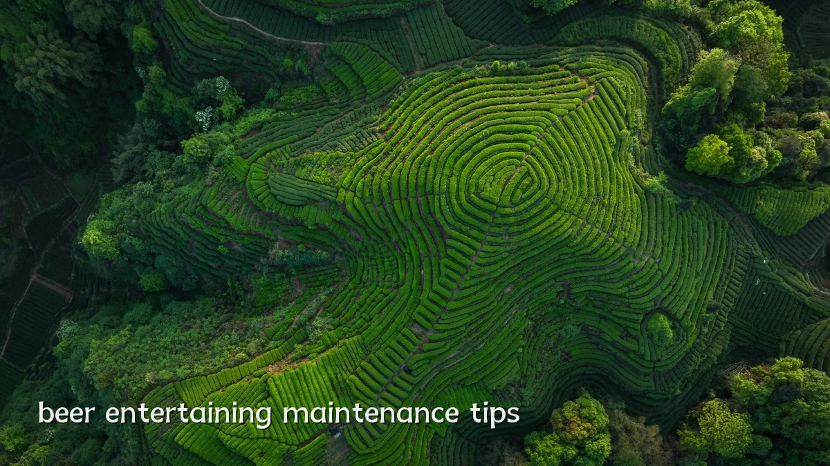 beer entertaining maintenance tips