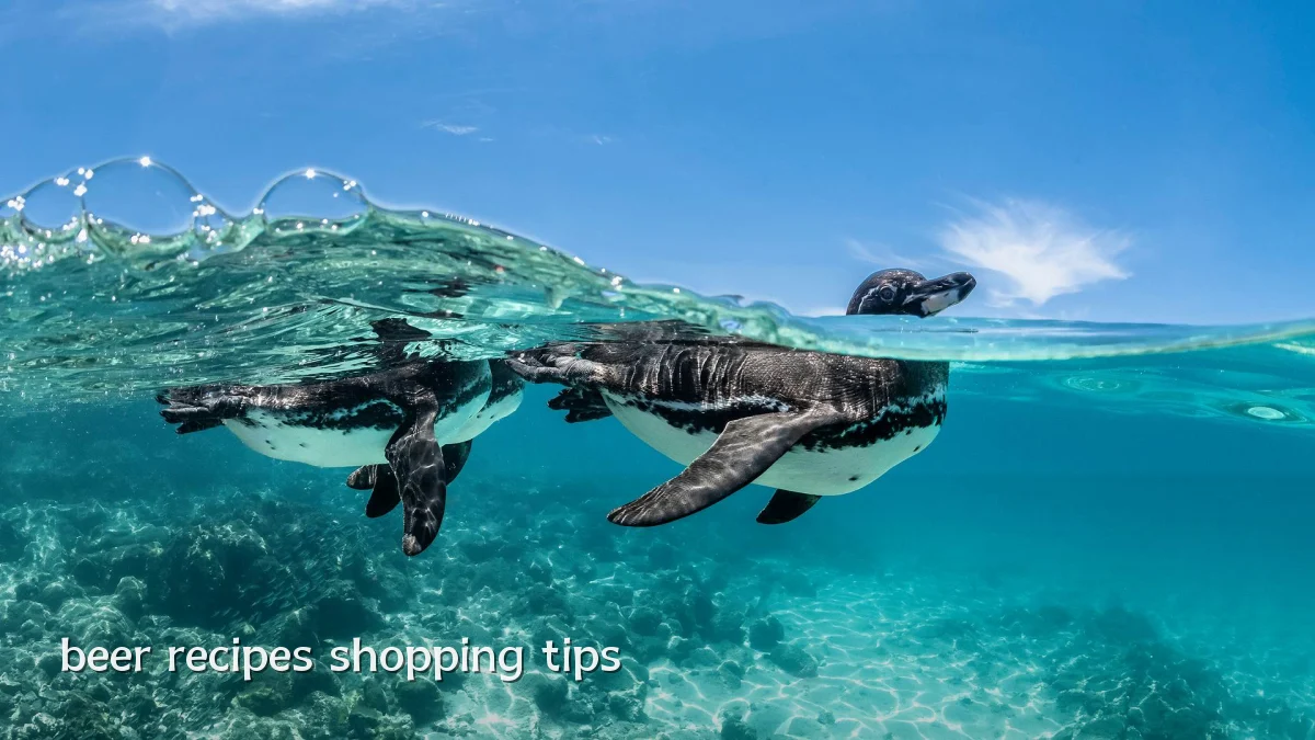 beer recipes shopping tips