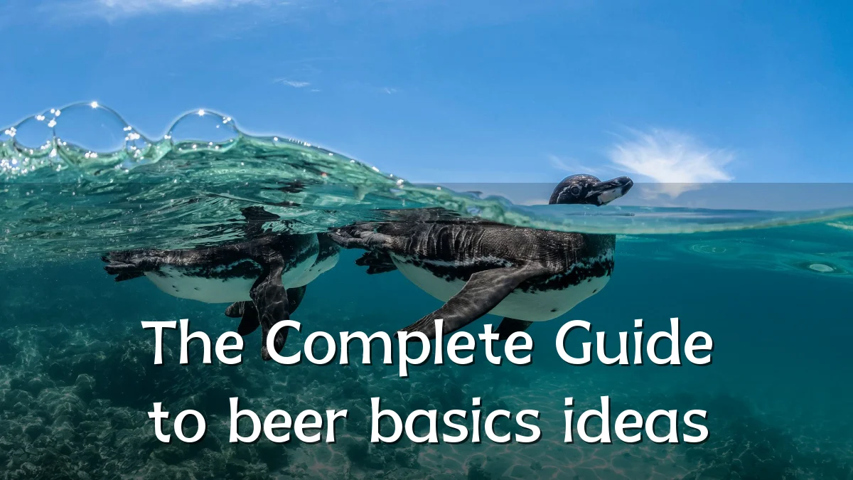 The Complete Guide to beer basics ideas
