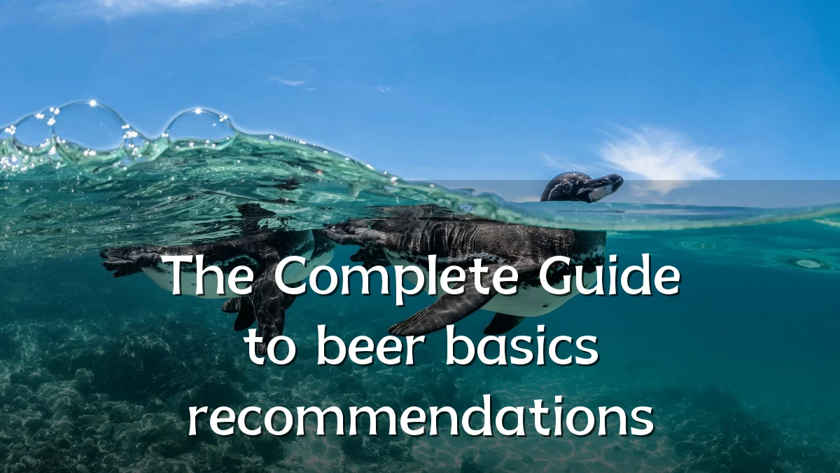 The Complete Guide to beer basics recommendations