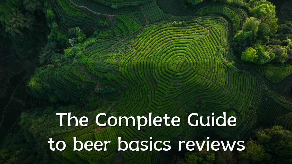 The Complete Guide to beer basics reviews