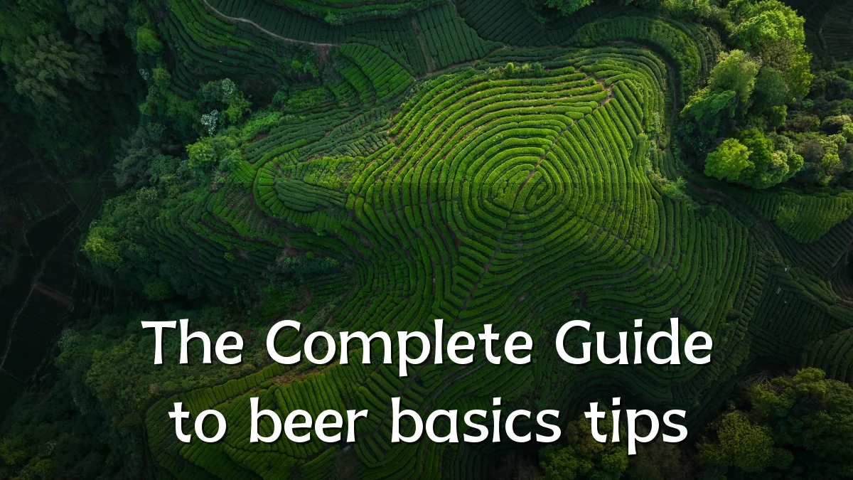 The Complete Guide to beer basics tips