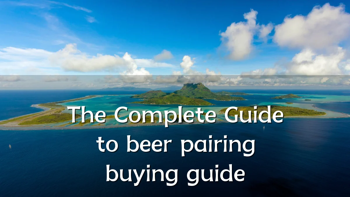 The Complete Guide to beer pairing buying guide