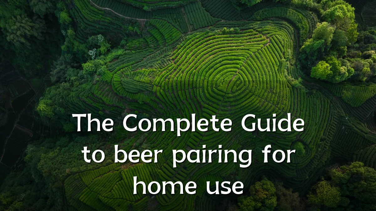 The Complete Guide to beer pairing for home use