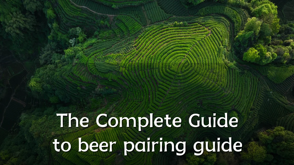 The Complete Guide to beer pairing guide