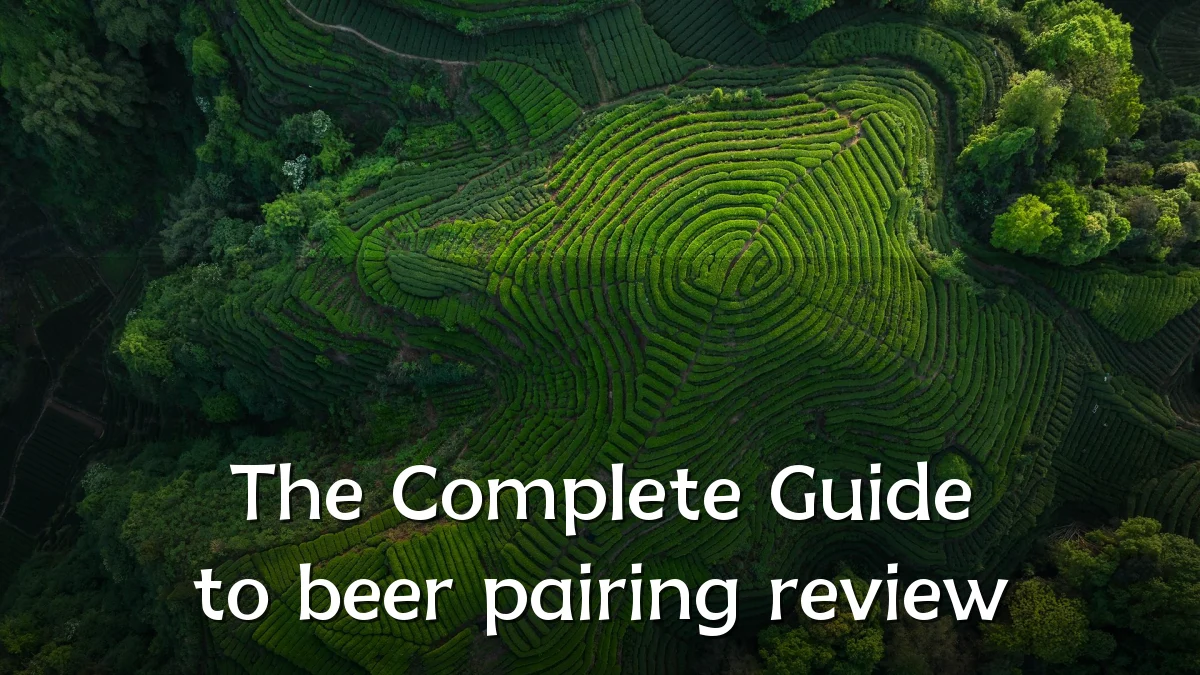 The Complete Guide to beer pairing review