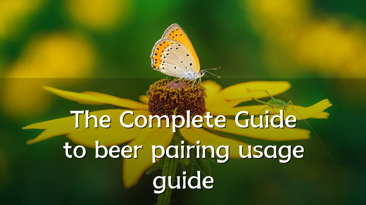 The Complete Guide to beer pairing usage guide