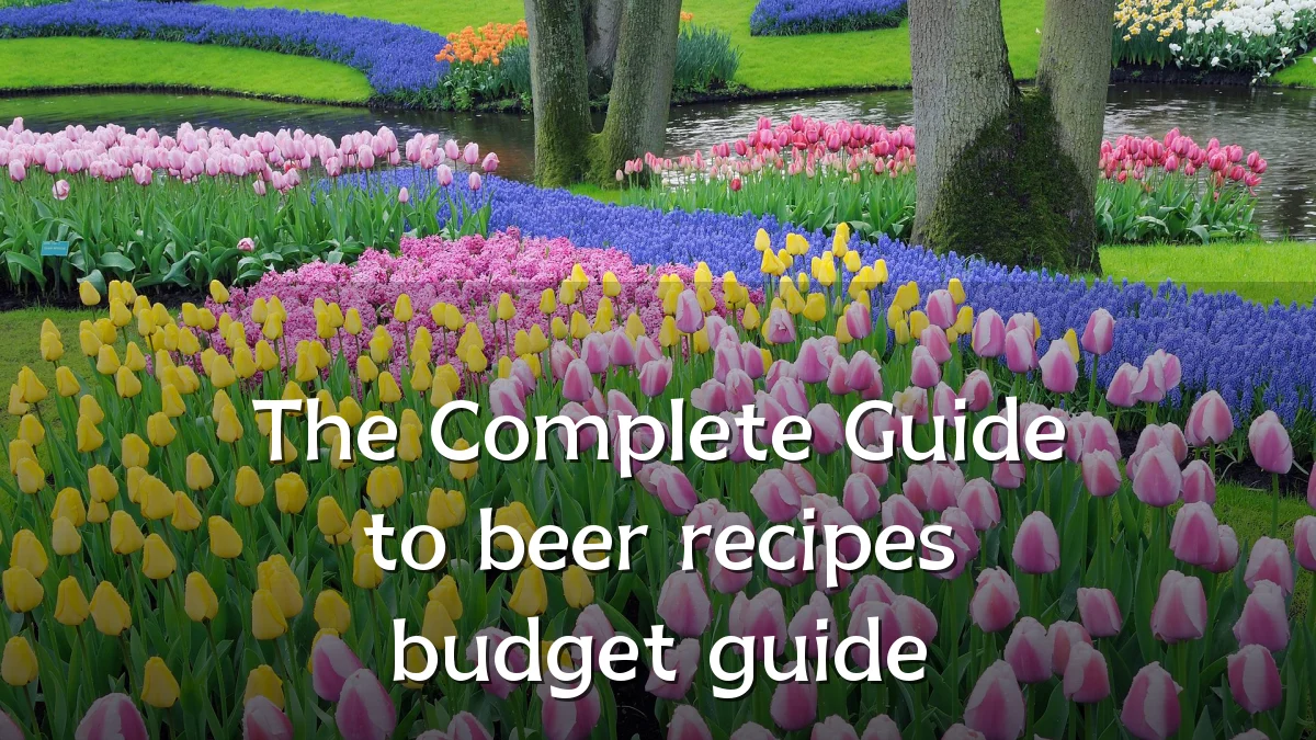 The Complete Guide to beer recipes budget guide