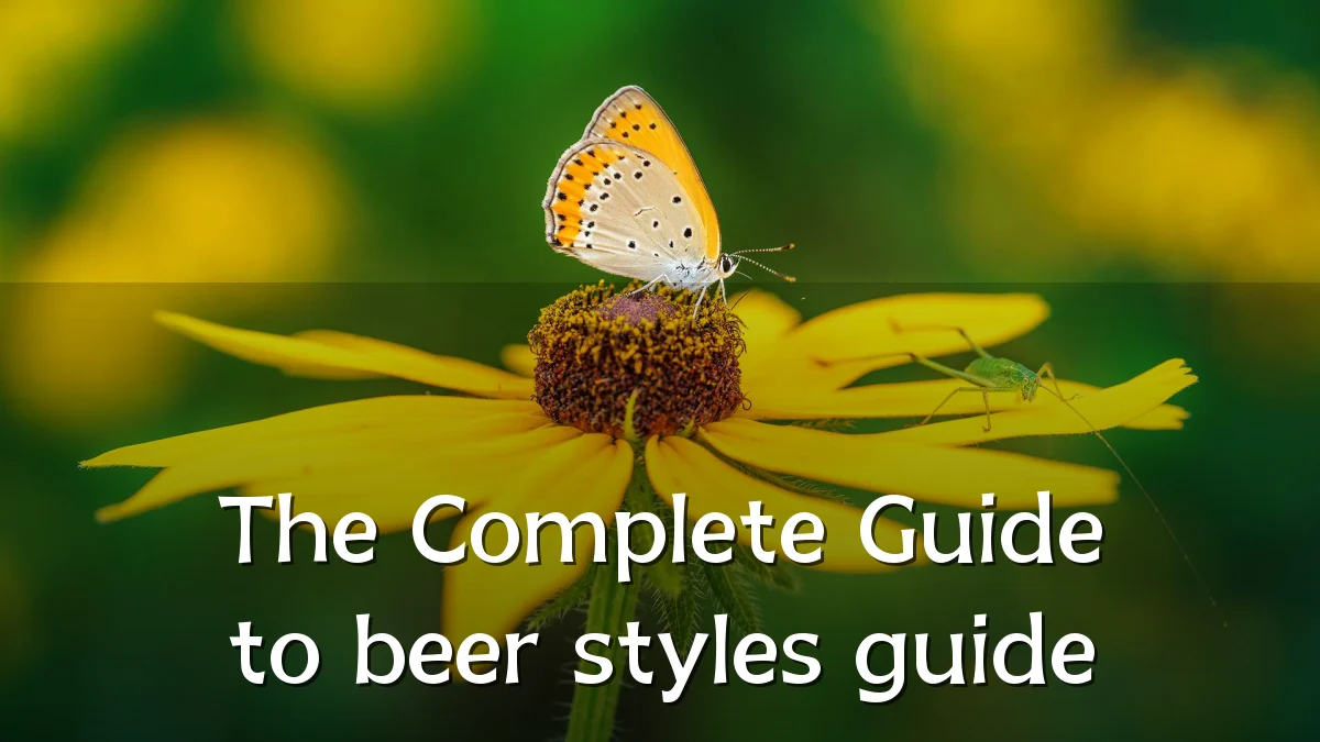The Complete Guide to beer styles guide