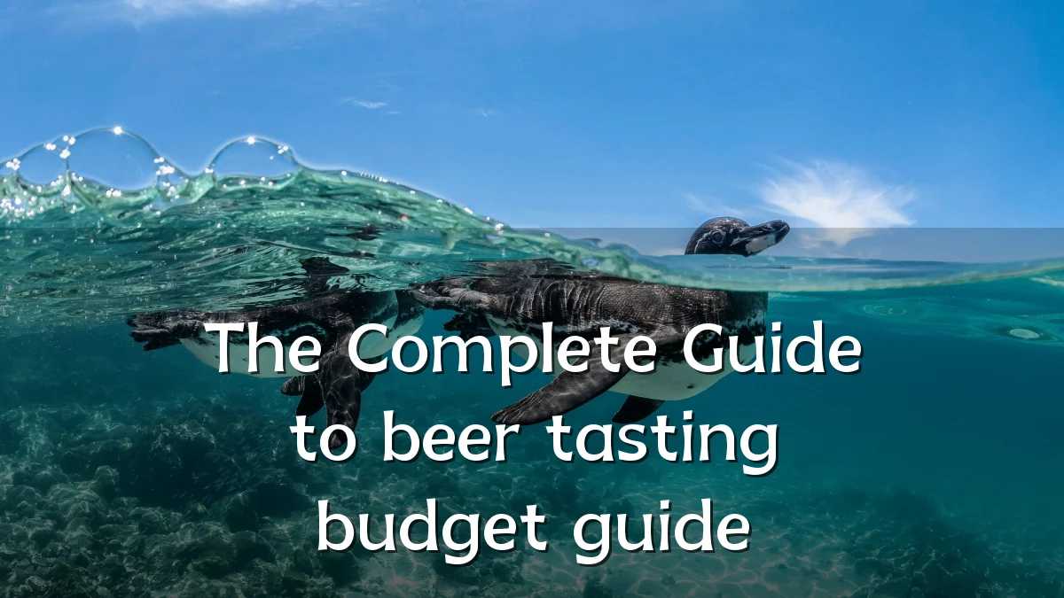 The Complete Guide to beer tasting budget guide