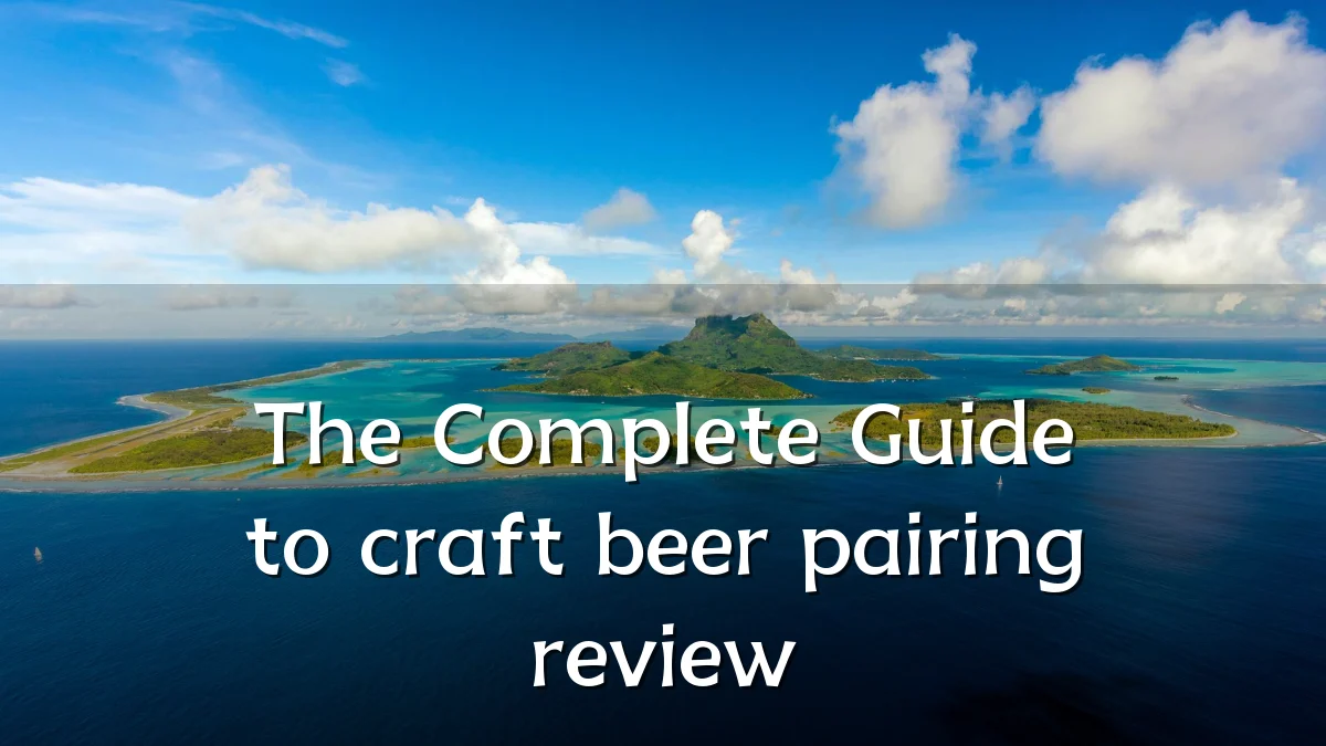 The Complete Guide to craft beer pairing review