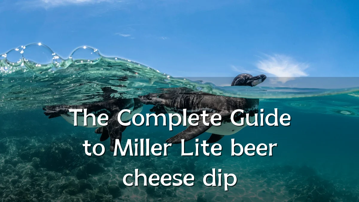 The Complete Guide to Miller Lite beer cheese dip
