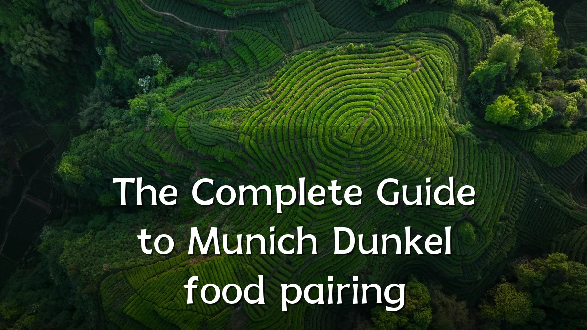 The Complete Guide to Munich Dunkel food pairing