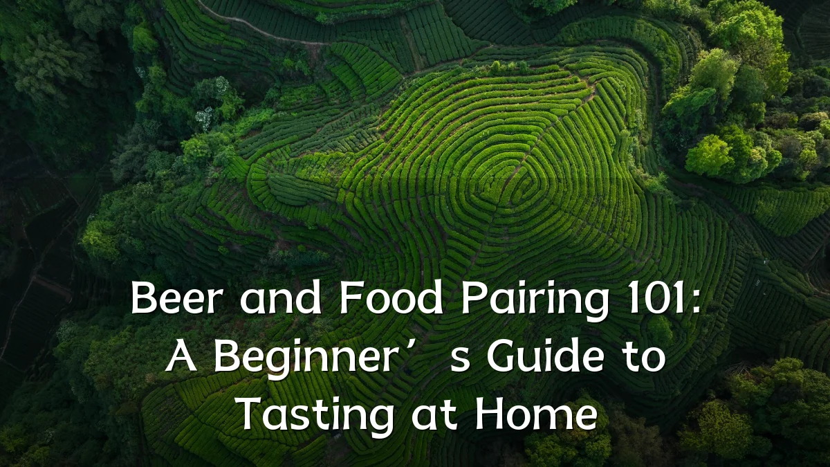 Beer and Food Pairing 101: A Beginner’s Guide to Tasting at Home