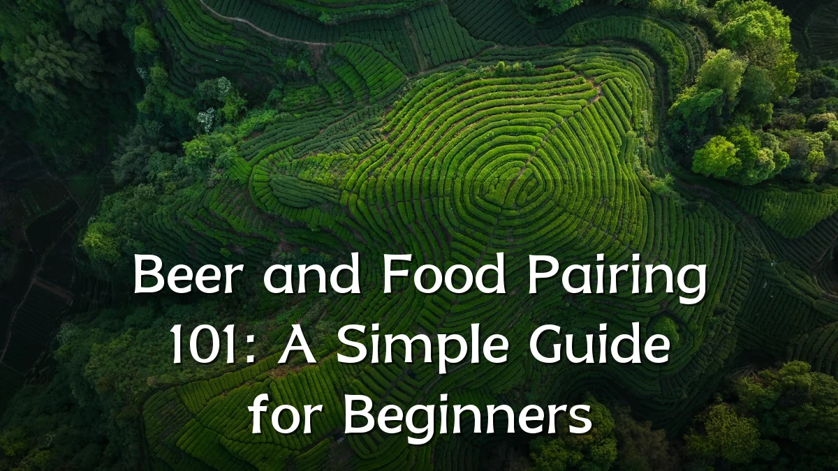 Beer and Food Pairing 101: A Simple Guide for Beginners