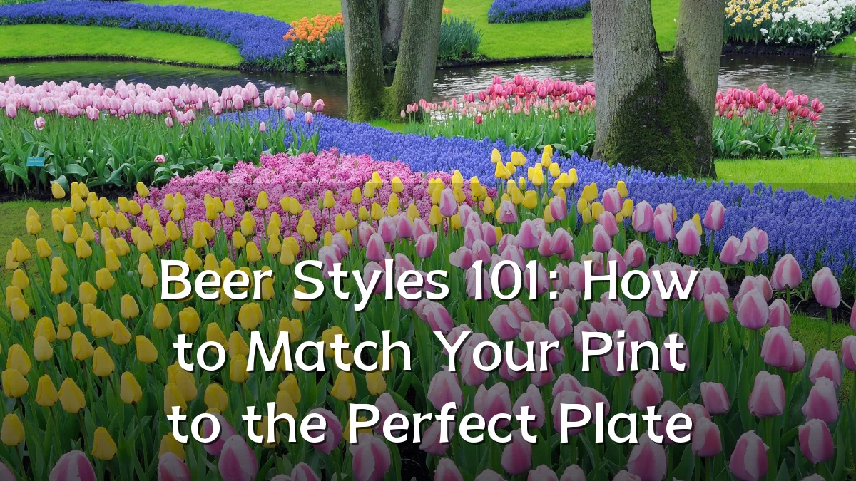 Beer Styles 101: How to Match Your Pint to the Perfect Plate