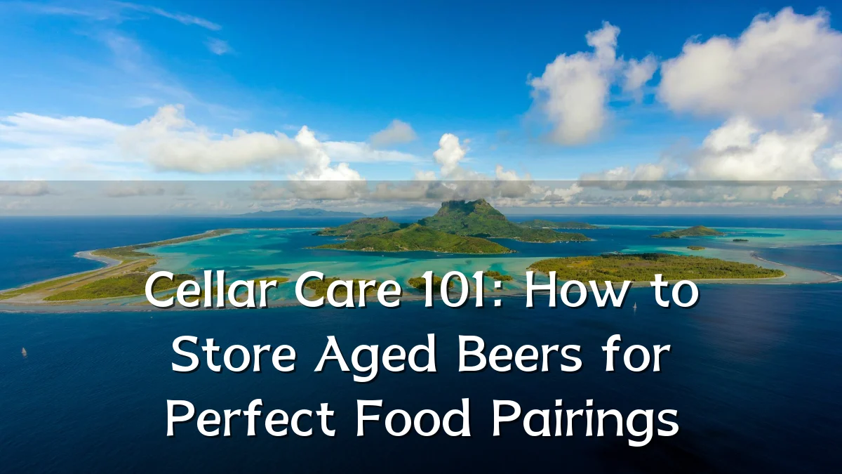 Cellar Care 101: How to Store Aged Beers for Perfect Food Pairings