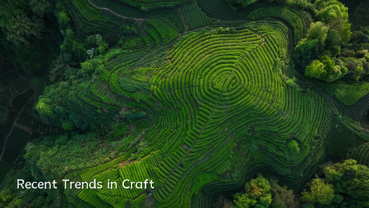 Recent Trends in Craft