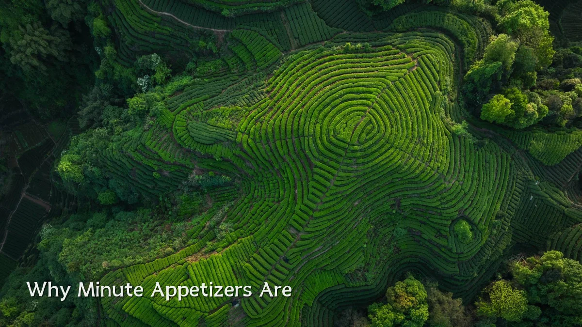 Why Minute Appetizers Are