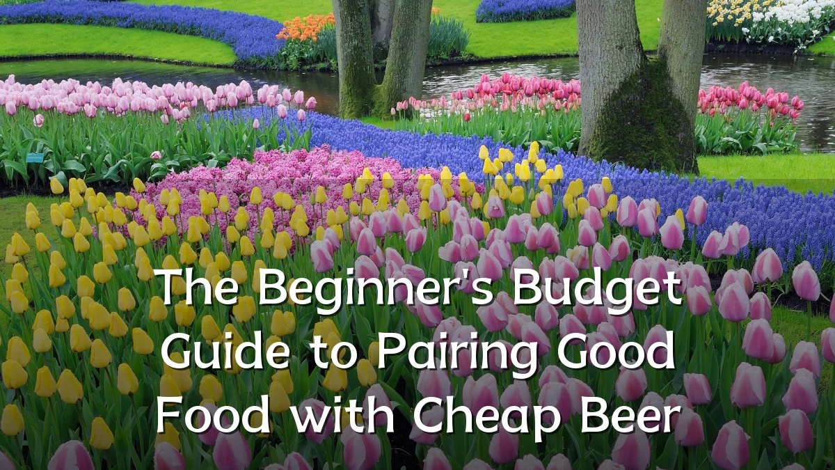 The Beginner's Budget Guide to Pairing Good Food with Cheap Beer