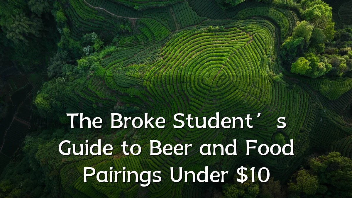 The Broke Student’s Guide to Beer and Food Pairings Under $10