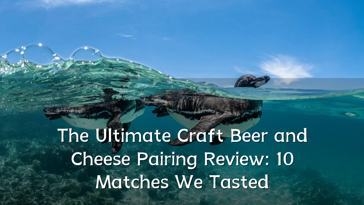 The Ultimate Craft Beer and Cheese Pairing Review: 10 Matches We Tasted