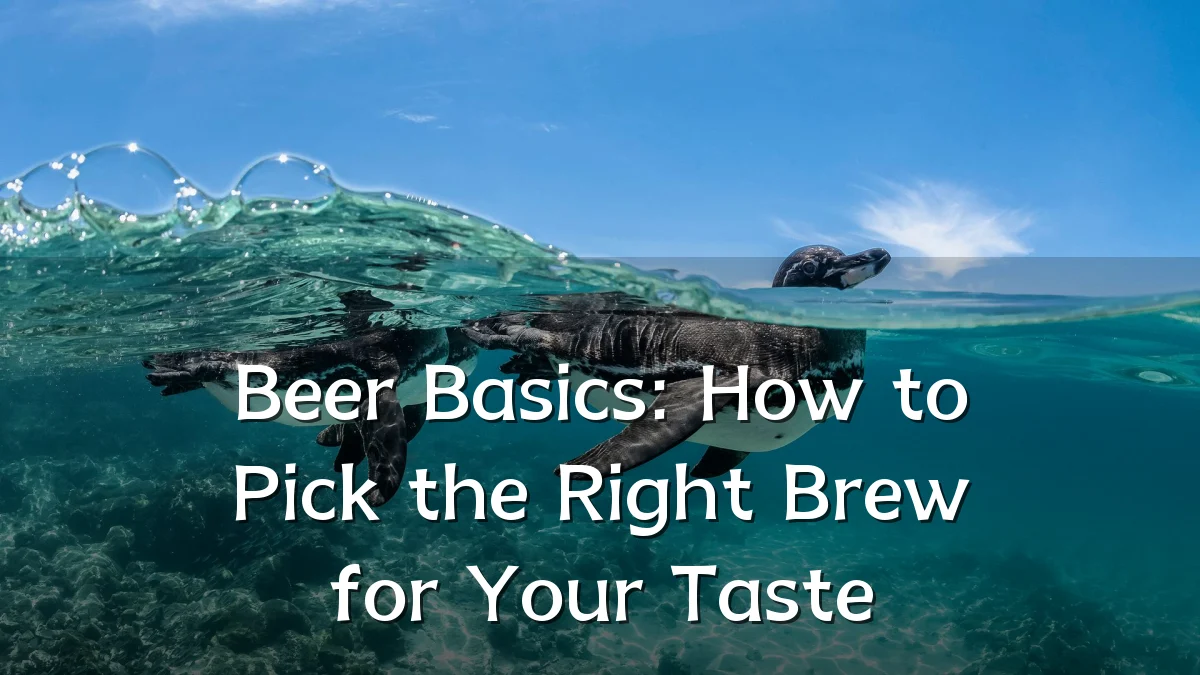 Beer Basics: How to Pick the Right Brew for Your Taste