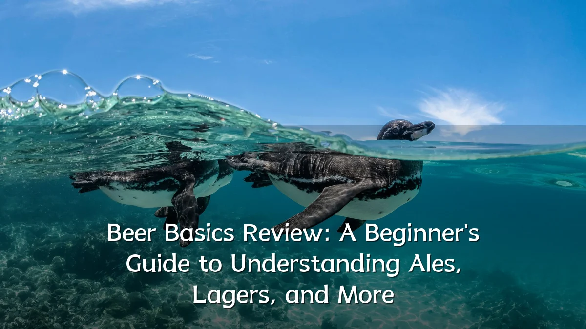 Beer Basics Review: A Beginner's Guide to Understanding Ales, Lagers, and More