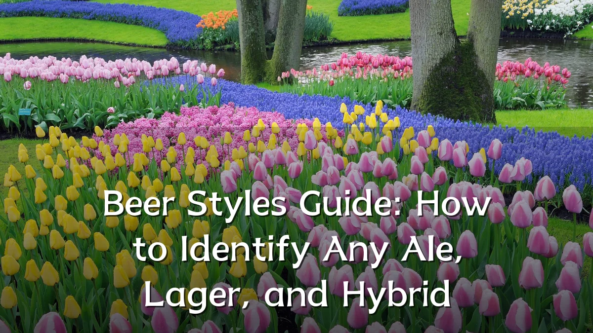 Beer Styles Guide: How to Identify Any Ale, Lager, and Hybrid