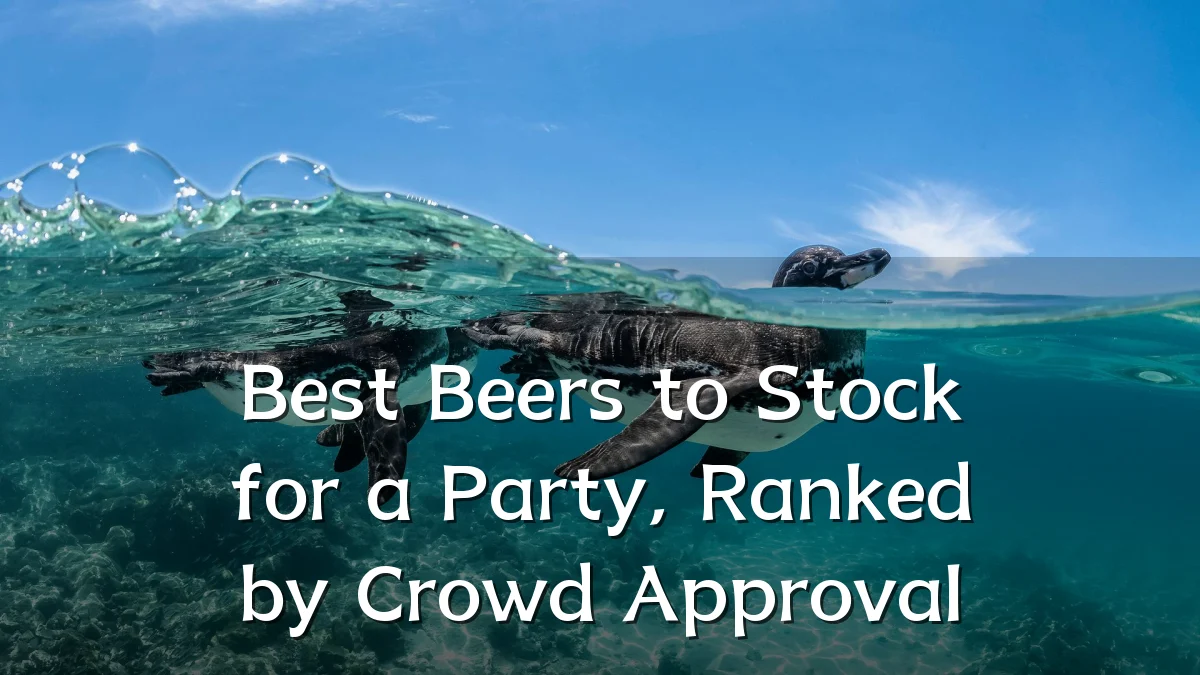 Best Beers to Stock for a Party, Ranked by Crowd Approval